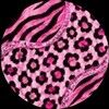 pop2423